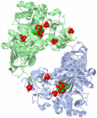 Image Biological Unit 3