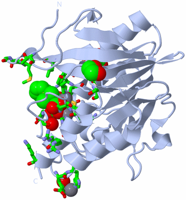 Image Biol. Unit 1 - sites