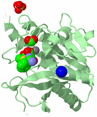 Image Biological Unit 2