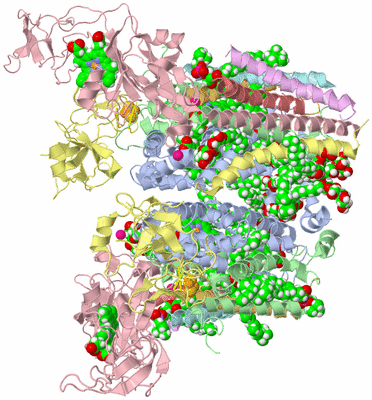 Image Biological Unit 1