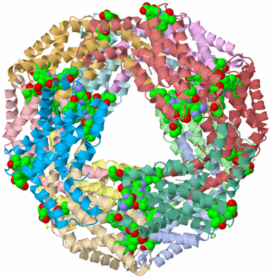 Image Biological Unit 1