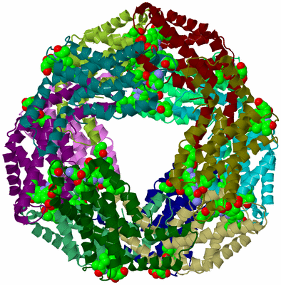 Image Biological Unit 2