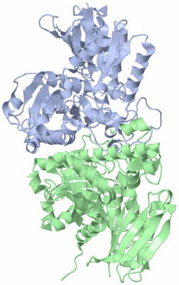 Image Asym./Biol. Unit