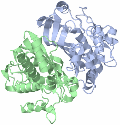 Image Asym./Biol. Unit