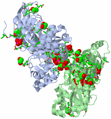 Image Asym./Biol. Unit - sites