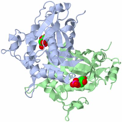 Image Biological Unit 1