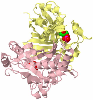 Image Biological Unit 2