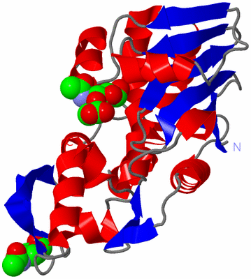 Image Asym./Biol. Unit