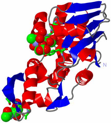 Image Asym./Biol. Unit - sites