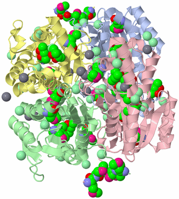 Image Asym./Biol. Unit