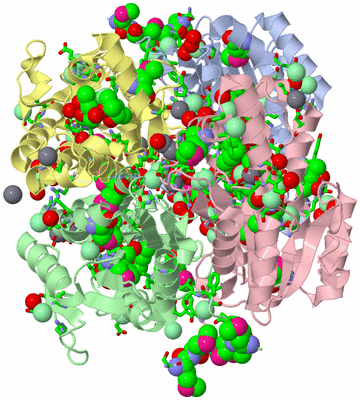 Image Asym./Biol. Unit - sites