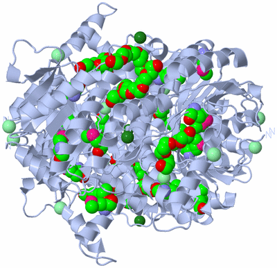 Image Biological Unit 1