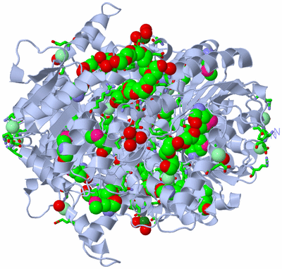 Image Biol. Unit 1 - sites