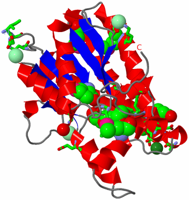 Image Asym. Unit - sites