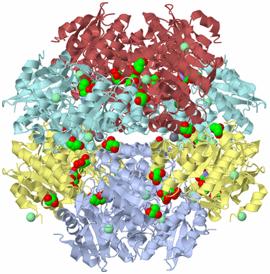 Image Biological Unit 1