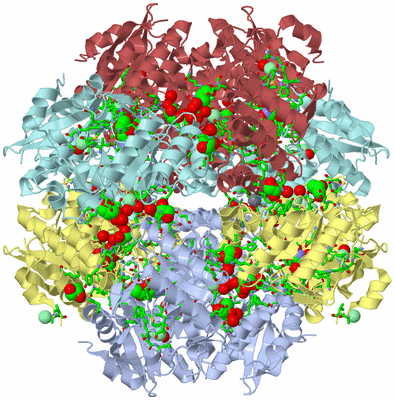 Image Biol. Unit 1 - sites