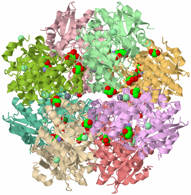 Image Biological Unit 2