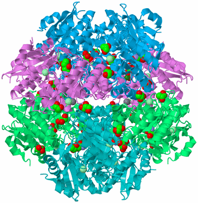 Image Biological Unit 3