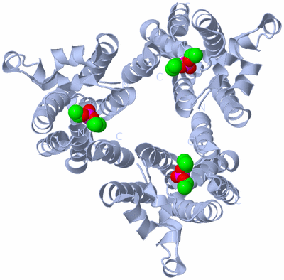 Image Biological Unit 3