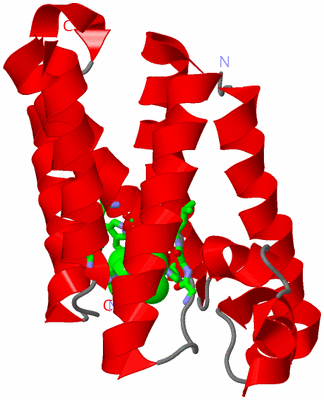 Image Asym. Unit - sites