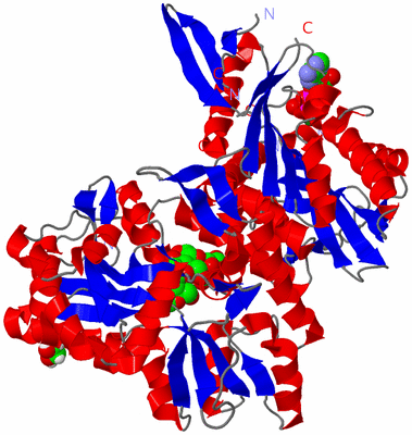 Image Asym./Biol. Unit