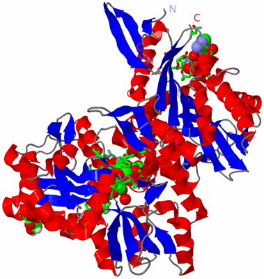 Image Asym./Biol. Unit - sites