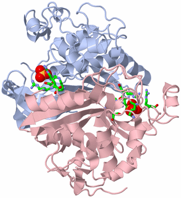 Image Biol. Unit 1 - sites