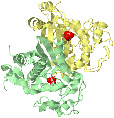 Image Biological Unit 2