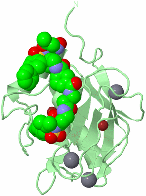 Image Biological Unit 2