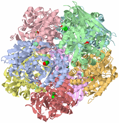 Image Asym./Biol. Unit