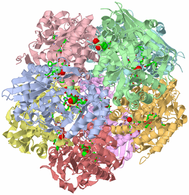 Image Asym./Biol. Unit - sites