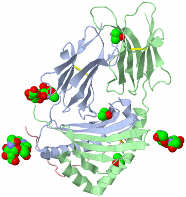 Image Biological Unit 1