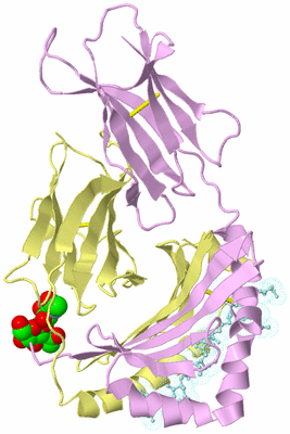 Image Biological Unit 2