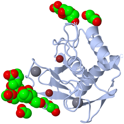 Image Biological Unit 1