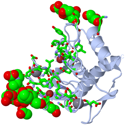 Image Biol. Unit 1 - sites