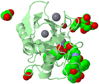 Image Biological Unit 2