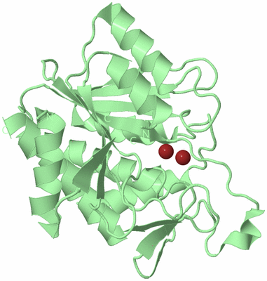 Image Biological Unit 2