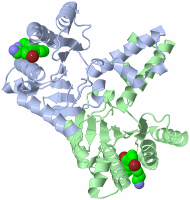 Image Asym./Biol. Unit