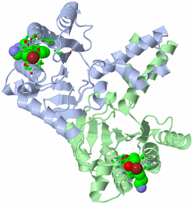 Image Asym./Biol. Unit - sites