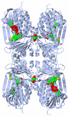 Image Biological Unit 1