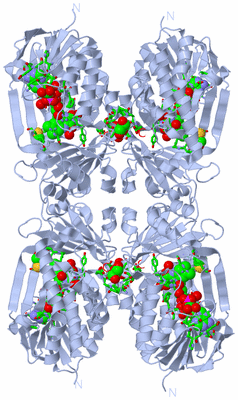 Image Biol. Unit 1 - sites