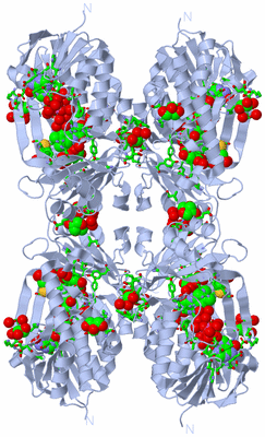 Image Biol. Unit 1 - sites