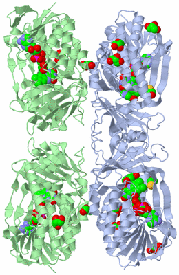 Image Biological Unit 1