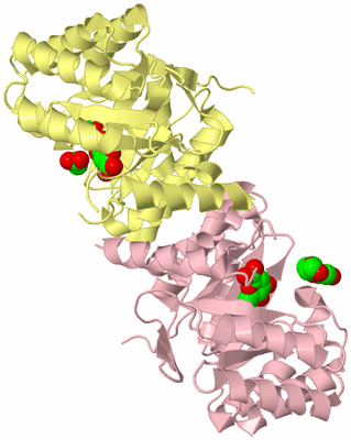 Image Biological Unit 2