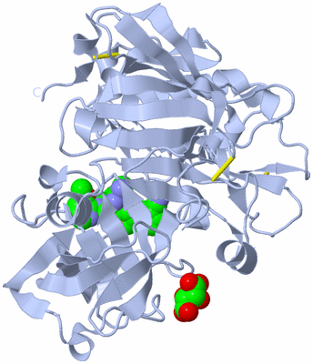 Image Biological Unit 1