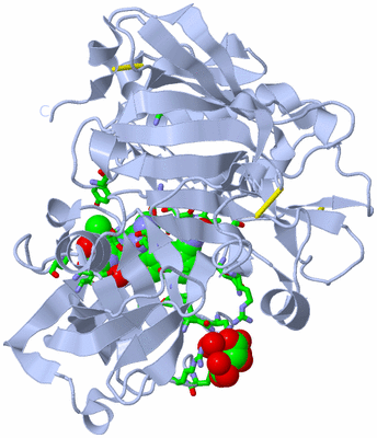 Image Biol. Unit 1 - sites