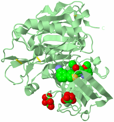 Image Biological Unit 2