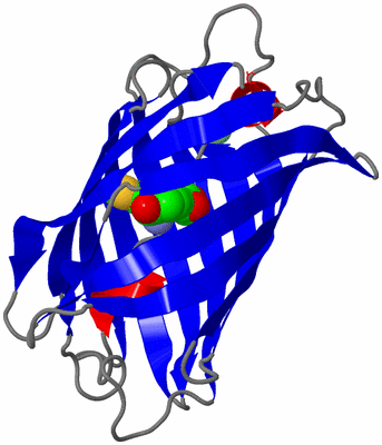 Image Asym./Biol. Unit