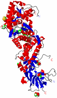 Image Asym./Biol. Unit