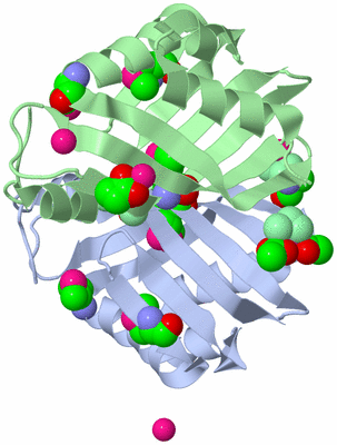 Image Asym./Biol. Unit